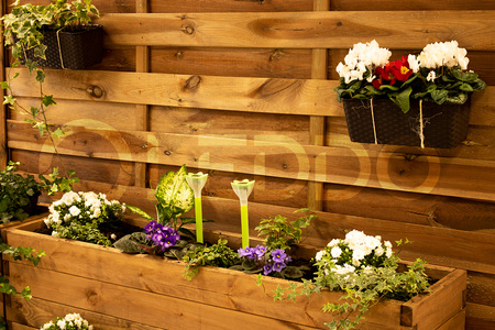 Lampa Ogrodowa LED Solarna Wbijana TULIPANEK Zielony