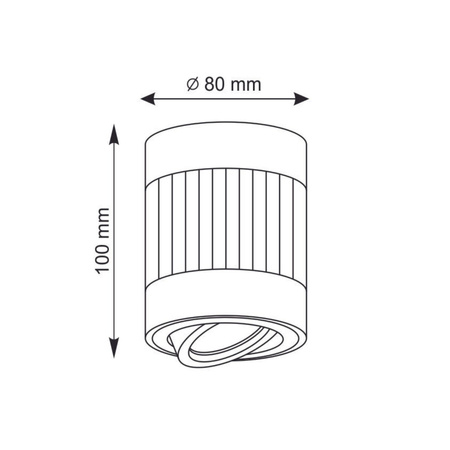 Oprawa Sufitowa Natynkowa RUBIN PASKI GU10 Tuba Spot Okrągła Ruchoma Biała GOLDLUX