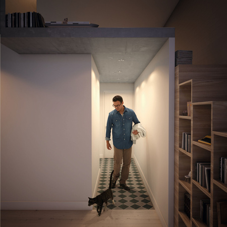 3x Oprawa Podtynkowa Wpuszczana Spot GU10 Chrom Donegal Philips