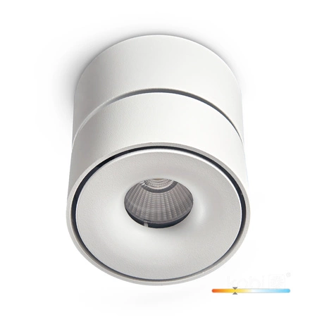 Oprawa Sufitowa Reflektor Regulowany LED 9W 550lm 3000K Ciepła Ściemnialna CRI90 Biała Lahti Kobi