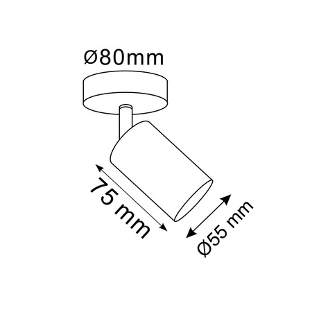 Oprawa Ścienno-Sufitowa Reflektor Punktowy GU10 Złota GOLDI Sanico Goldlux