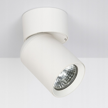 Lampa Sufitowa Ścienna TIMO Reflektor Oprawa Halogenowa Ruchoma 1xGU10 Biały LVT
