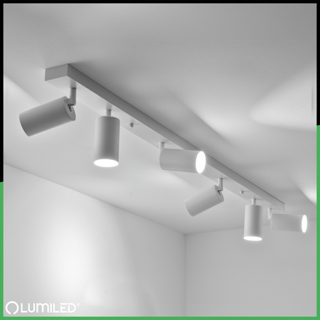 Lampa Sufitowa SPOT TUBA Reflektor Oprawa Halogenowa 6x GU10 TABULA LUMILED