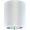 Oprawa sufitowa natynkowa tuba metalowa spot JUPITER 10 GOLDLUX (Polux) DOWNLIGHT E27