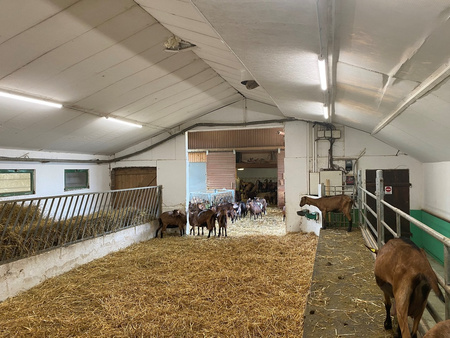 Oprawa Lampa Hermetyczna LED Pyłoszczelna 50W 6500lm 4000K IP67 Biały Damp Roof Special Ledvance