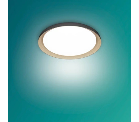 Lampa Sufitowa Plafon LED 10W 1950lm 4000K SceneSwitch Czarna Pebblo Ultra Efficient Philips