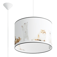 Lampa Sufitowa Wisząca Zwis E27 Żyrandol Owalna Wielokolorowa Nowoczesna Koty Sollux