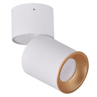 Oprawa Sufitowa Natynkowa NIXA GU10 Tuba Spot Ruchoma 360° Okrągła Biało - Złota GOLDLUX