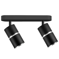 Oprawa Ścienno-Sufitowa Reflektor Punktowy 2x GU10 CzarnaSrebrna BAMBOO Sanico Goldlux