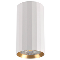 Oprawa Natynkowa Punktowa Spot GU10 Biała Złota NICEA Sanico Goldlux