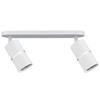 Oprawa Ścienno-Sufitowa Reflektor Punktowy 2x GU10 Biała Srebrna BAMBOO Sanico Goldlux