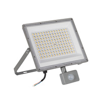 Naświetlacz Halogen LED Lampa 100W 10800lm CCT 90° IP44 Czujnik PIR Szary ACETE Kanlux