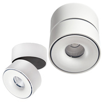 Oprawa Sufitowa Reflektor Regulowany LED 9W 550lm 3000K Ciepła Ściemnialna CRI90 Biała Lahti Kobi