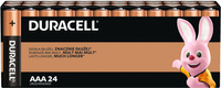 Baterie Alkaiczne DURACELL Basic AAA LR03 24szt