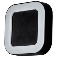 Kinkiet Ogrodowy Elewacyjny Lampa Zewnętrzna LED 12W 4000K IP54 LUPUS