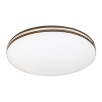 Plafon LED Lampa Sufitowa Oprawa Ścienna Natynkowa 18W 4000K Biały Minimalistyczny Oscar2 Rabalux