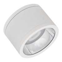 Oprawa Natynkowa LED Spot Tuba SURFACE IP65 30W Ciepła 3000K LEDVANCE
