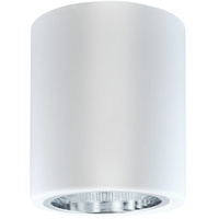 Oprawa sufitowa natynkowa tuba metalowa spot JUPITER 10 GOLDLUX (Polux) DOWNLIGHT E27