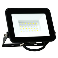 Naświetlacz LED 30W 2400lm 6500K 120° IP65 Czarny GOLDLUX (Polux)