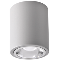 Oprawa sufitowa natynkowa tuba metalowa spot JUPITER 10 GOLDLUX (Polux) DOWNLIGHT E27 szara