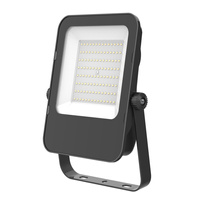 Naświetlacz LED Zewnętrzny Ogrodowy 100W 9000lm 6500K Zimny 120° IP65 Czarny MHN Kobi