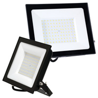 Naświetlacz LED Zewnętrzny Ogrodowy 100W 8700lm 6500K Zimny 120° IP65 IK05 Czarny Mh Kobi