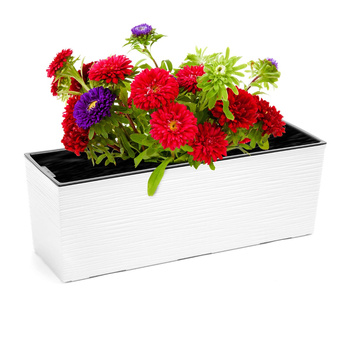 Kwietnik Donica Skrzynka z Wkładem 56 x 19cm Balkonowa Ogrodowa Domowa Dłuto Biała