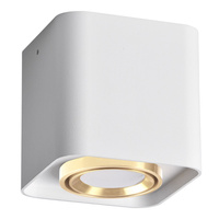 Oprawa Natynkowa Punktowa Spot GU10 Biała XENO Sanico Goldlux