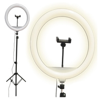 Lampa Podłogowa LED 15W 330lm 2700-4000-6500K Ciepła 360° Czarna Ściemnialna SELFIE Sanico Goldlux