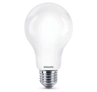 Żarówka LED E27 A67 13W = 120W 2000lm 6500K Zimna PHILIPS