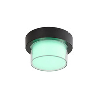 Lampa Ogrodowa Sufitowa Zewnętrzna Kinkiet Elewacyjny 10W 780lm 3000-6500K CCT RGB Ściemnialna IP54 Czarny Nowoczesny Durbe Rabalux